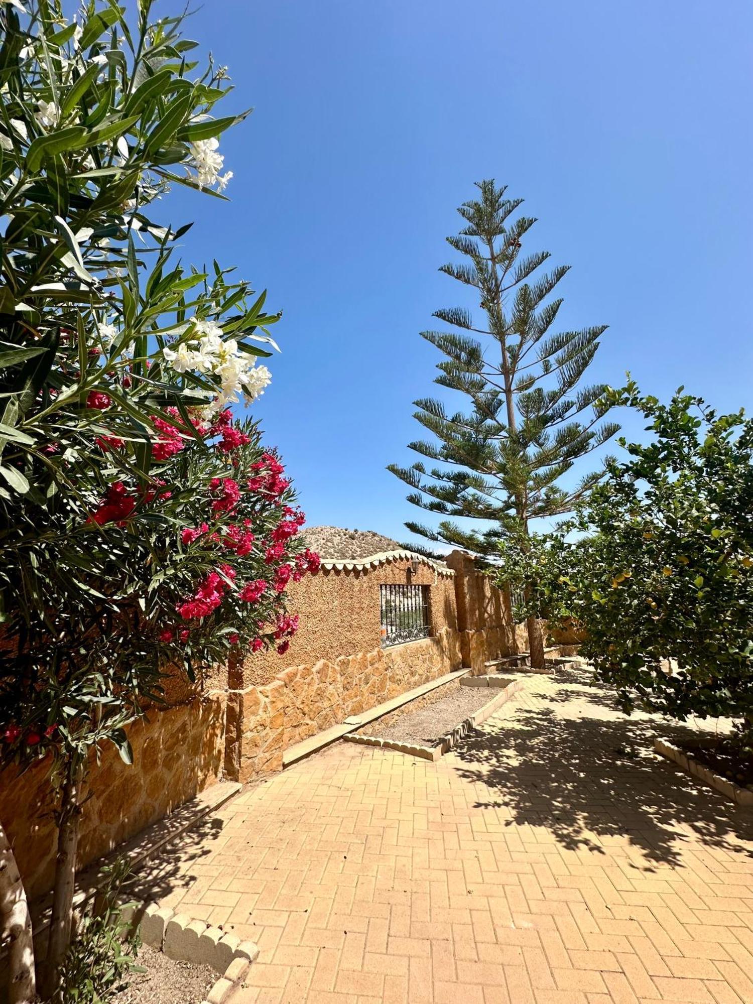 Casa Rural El Pomelo Zurgena Extérieur photo