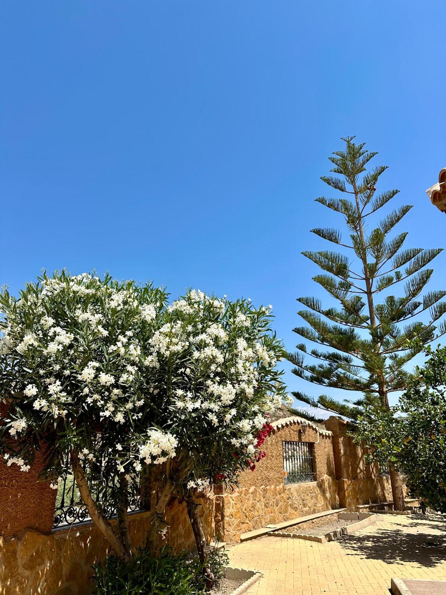 Casa Rural El Pomelo Zurgena Extérieur photo
